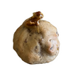 Cozy Cookies