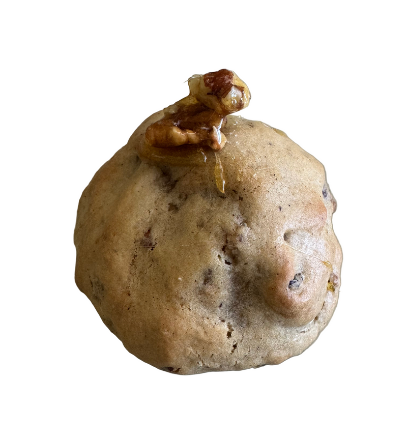 Turtle Crunch