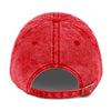 Ib’s Vintage Dad Hat