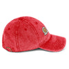 Ib’s Vintage Dad Hat